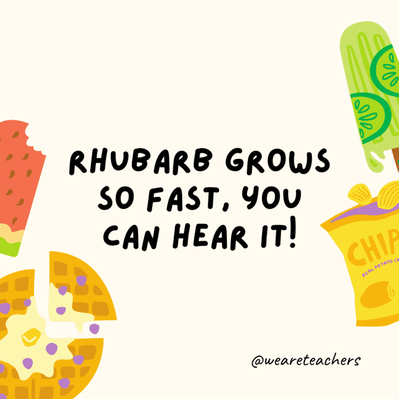 25 Fascinating and Gross Food Facts! Fun food facts - Rhubarb grows so fast, you can hear it!