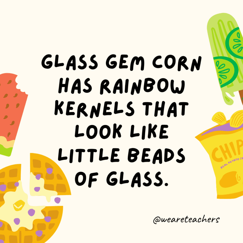 25 Fascinating and Gross Food Facts! Glass Gem corn has rainbow kernels that look like little beads of glass.