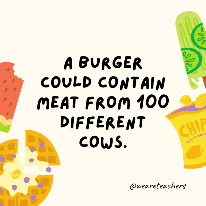 50 Fascinating and Gross Food Facts To Share With Students Fun food facts - A burner could contain meat from 100 different cows.