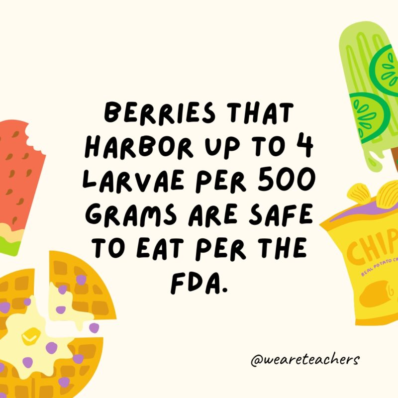 Berries that harbor up to 4 larvae per 500 grams are safe to eat per the FDA. Berries that harbor up to 4 larvae per 500 grams are safe to eat per the FDA.
