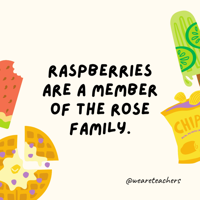 25 Fascinating and Gross Food Facts! Raspberries are a member of the rose family.
