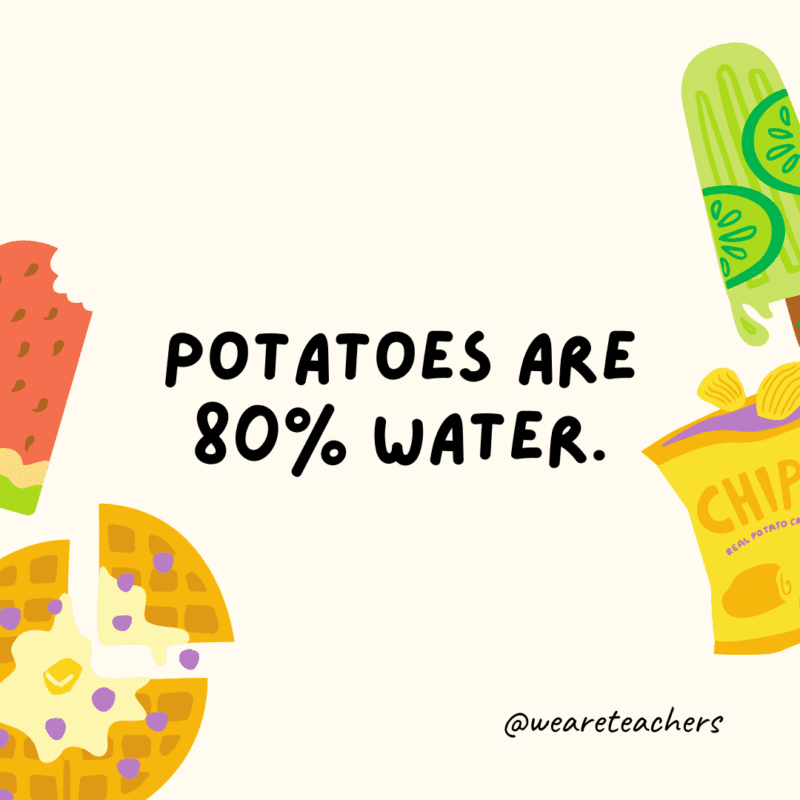 50 Fascinating and Gross Food Facts To Share With Students Potatoes are 80% water.