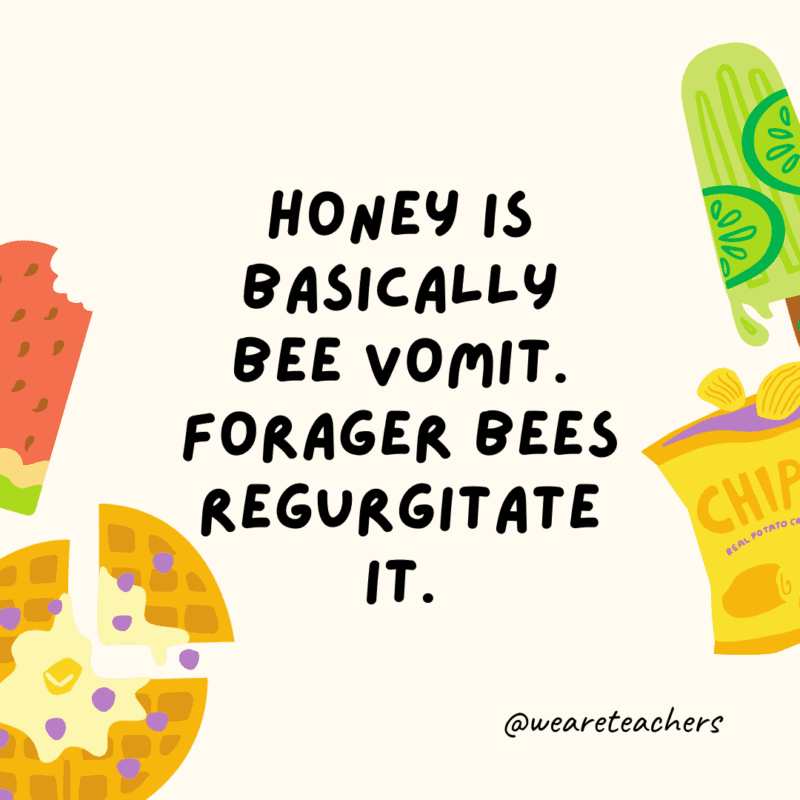 25 Fascinating and Gross Food Facts! Honey is basically bee vomit. Forager bees regurgitate it.