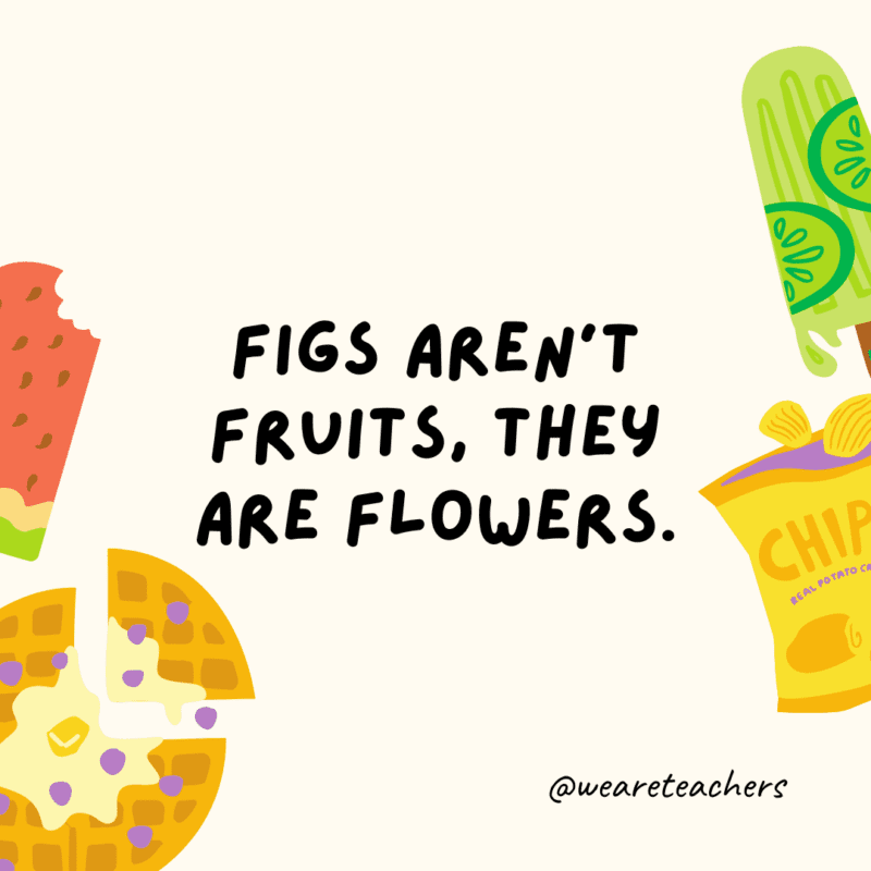 25 Fascinating and Gross Food Facts! Fun food facts - Figs aren't fruits, they are flowers.
