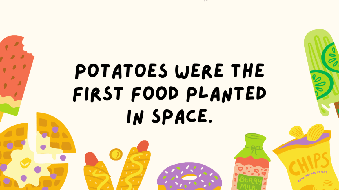 Food-Facts-Feature.png