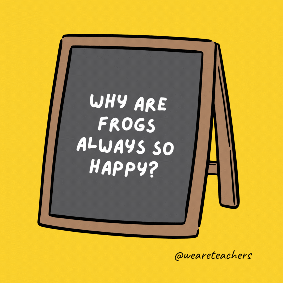 Why are frogs always so happy? They eat whatever bugs them. Why are frogs always so happy? They eat whatever bugs them. - jokes for teens