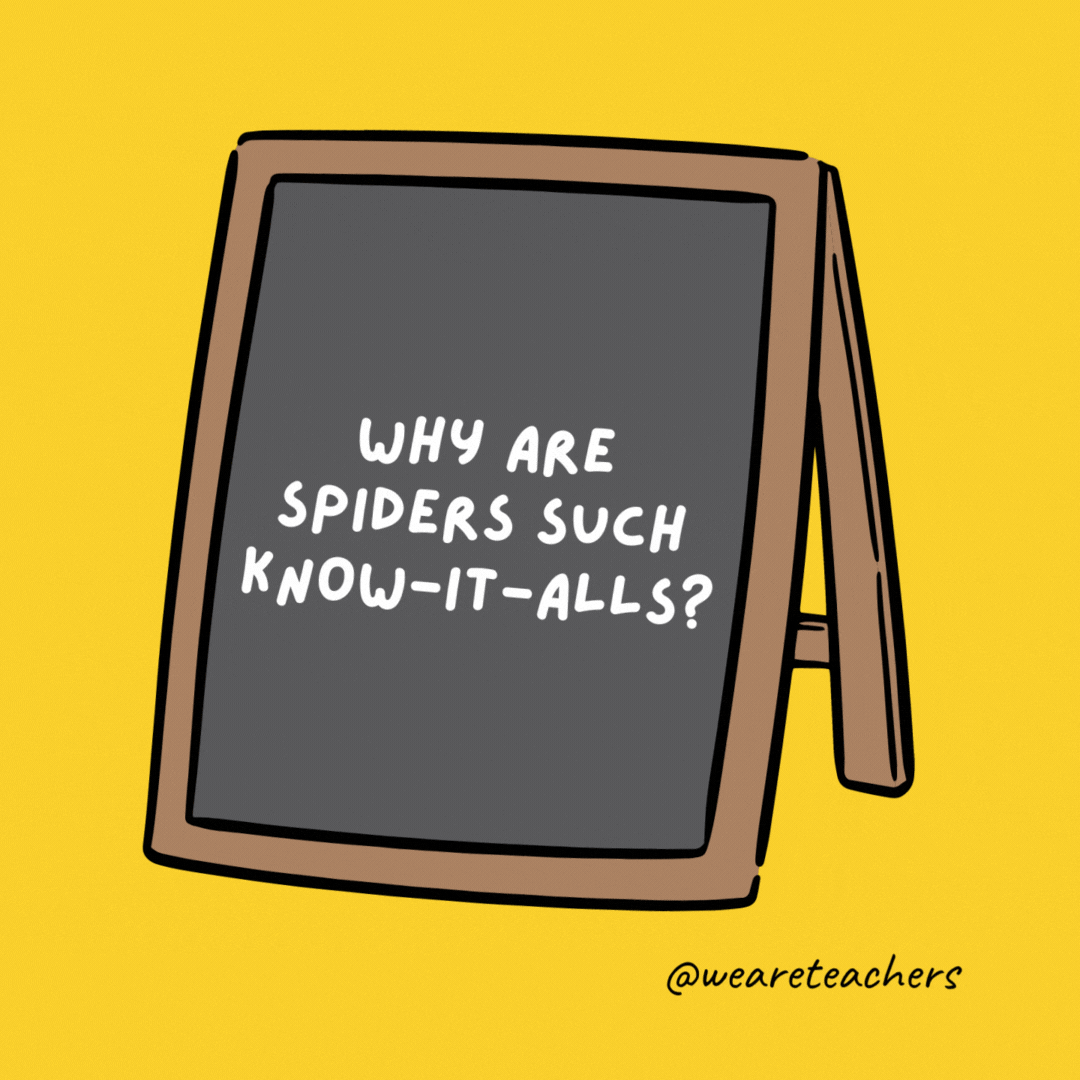 Why are spiders such know-it-alls? They’re always on the web. Why are spiders such know-it-alls? They’re always on the web.- jokes for teens