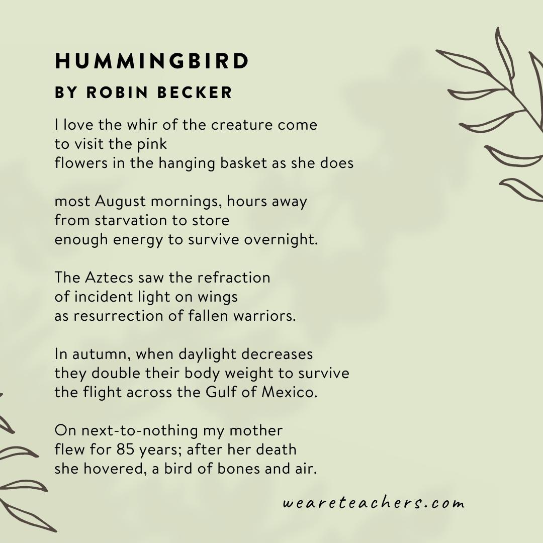 60 Beautiful Poems About Nature Hummingbird by Robin Becker. - poems about nature