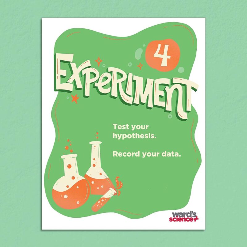Scientific-Method-experiment-step scientific method posters experiment