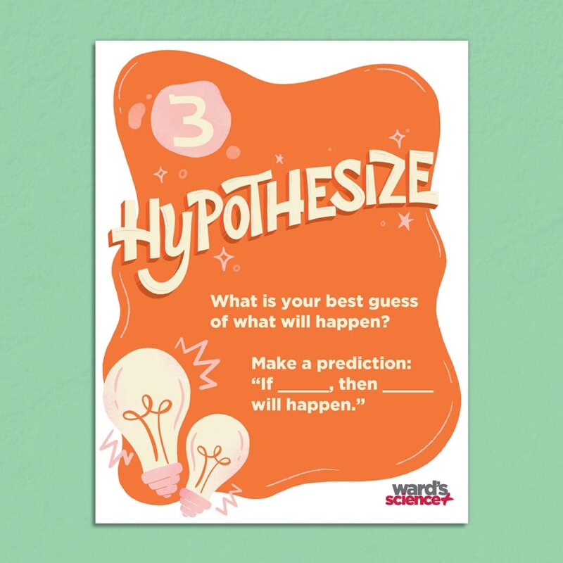 Scientific-Method-hypothesize-step scientific method posters hypothesize step