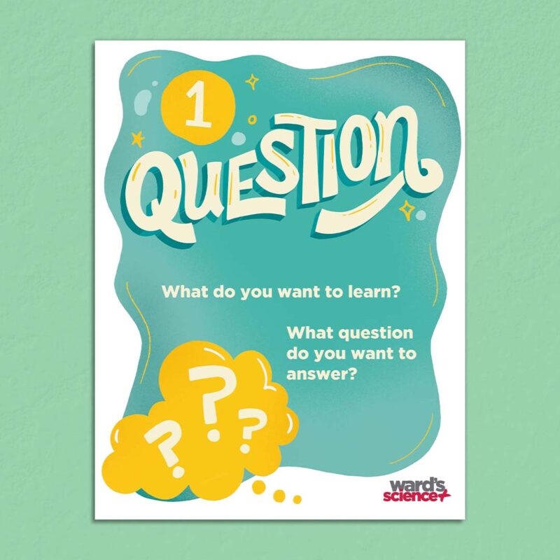 Scientific-Method-question-step scientific method poster question step