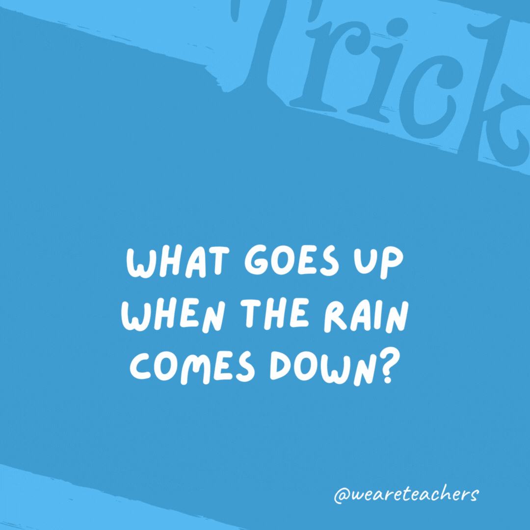 What goes up when the rain comes down? An umbrella. What goes up when the rain comes down?
An umbrella.