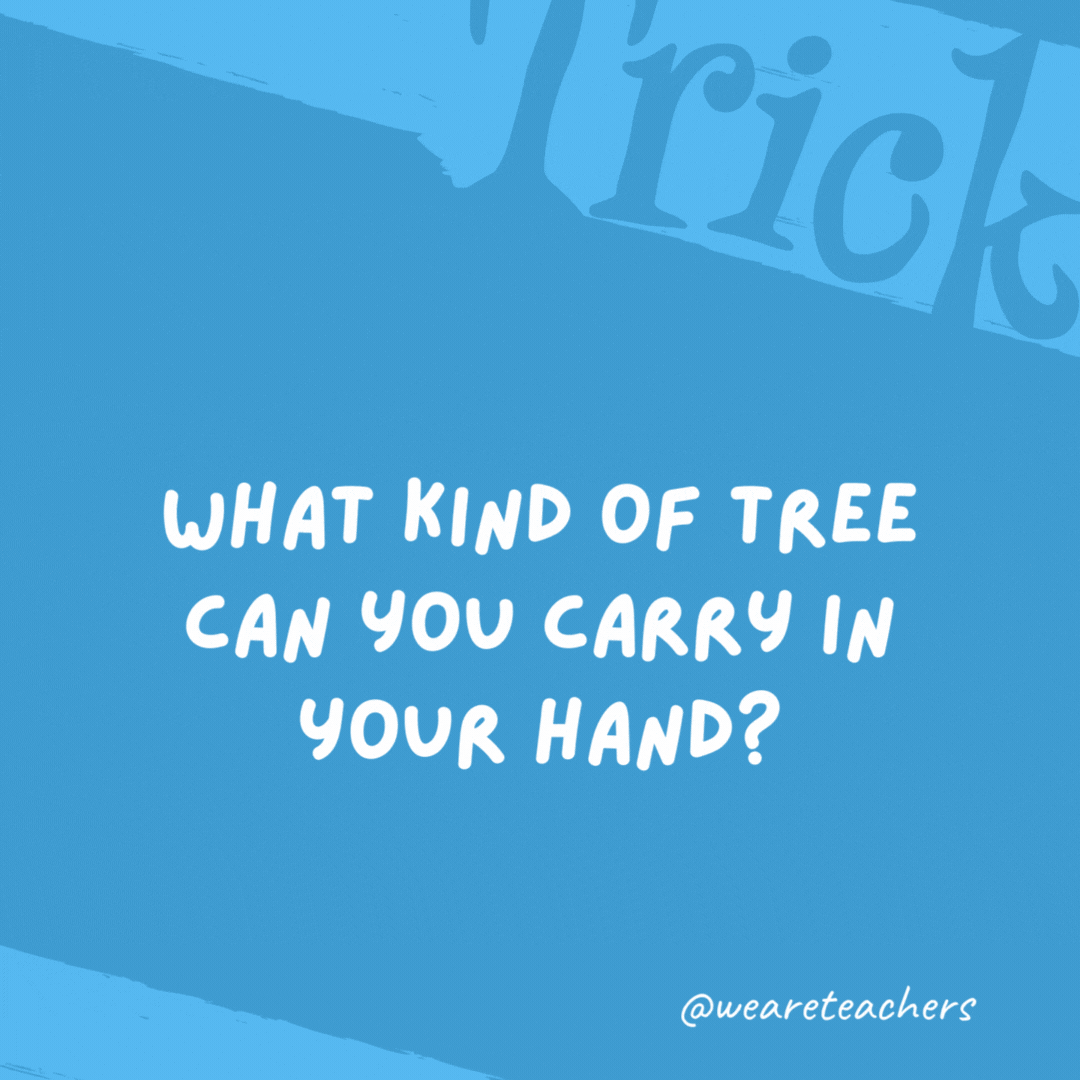 What kind of tree can you carry in your hand? A palm tree. What kind of tree can you carry in your hand?
A palm tree.