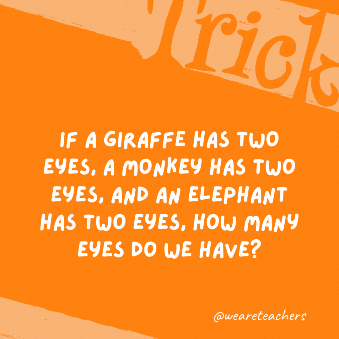 If a giraffe has two eyes, a monkey has two eyes, and an elephant has two eyes, how many eyes do we have? Four eyes. Assuming the person asking the question has two eyes and the person being asked has two eyes, the total is four. If a giraffe has two eyes, a monkey has two eyes, and an elephant has two eyes, how many eyes do we have? Four eyes. Assuming the person asking the question has two eyes and the person being asked has two eyes, the total is four.- trick questions