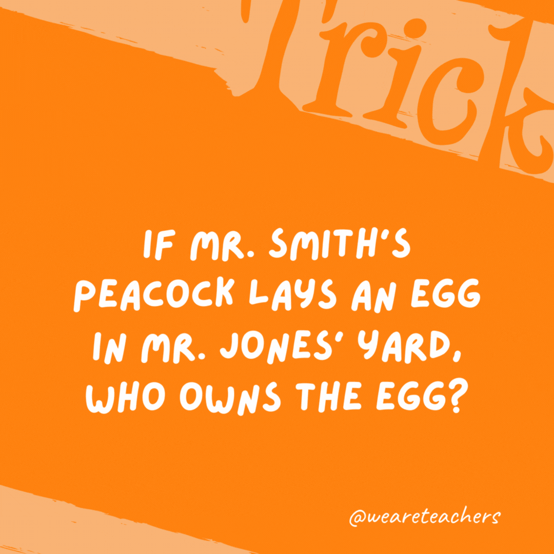 If Mr. Smith’s peacock lays an egg in Mr. Jones’ yard, who owns the egg? Neither. Peacocks don’t lay eggs, peahens do. If Mr. Smith’s peacock lays an egg in Mr. Jones’ yard, who owns the egg?
Neither. Peacocks don’t lay eggs, peahens do.