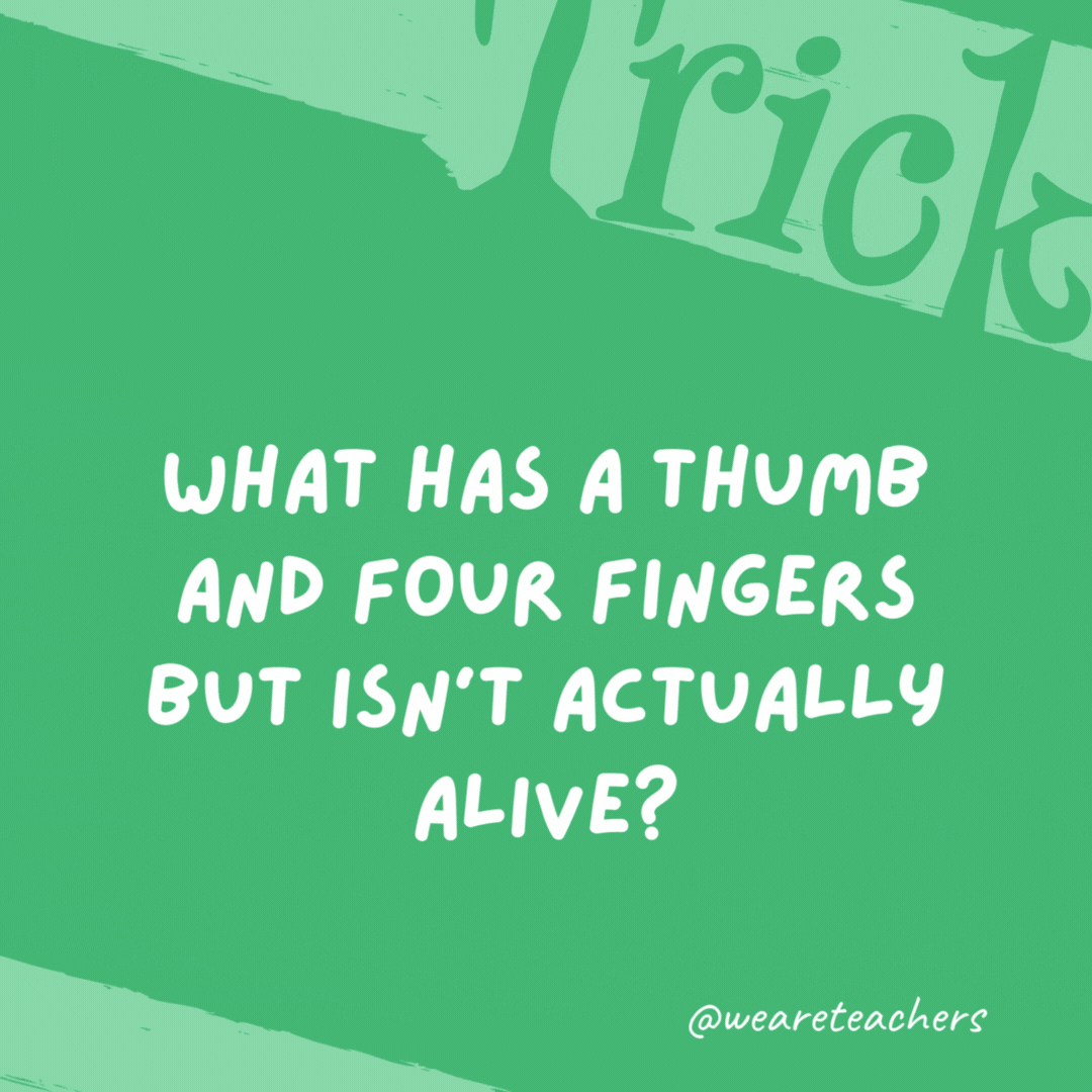 What has a thumb and four fingers but isn’t actually alive? A glove. What has a thumb and four fingers but isn’t actually alive? A glove- trick questions.