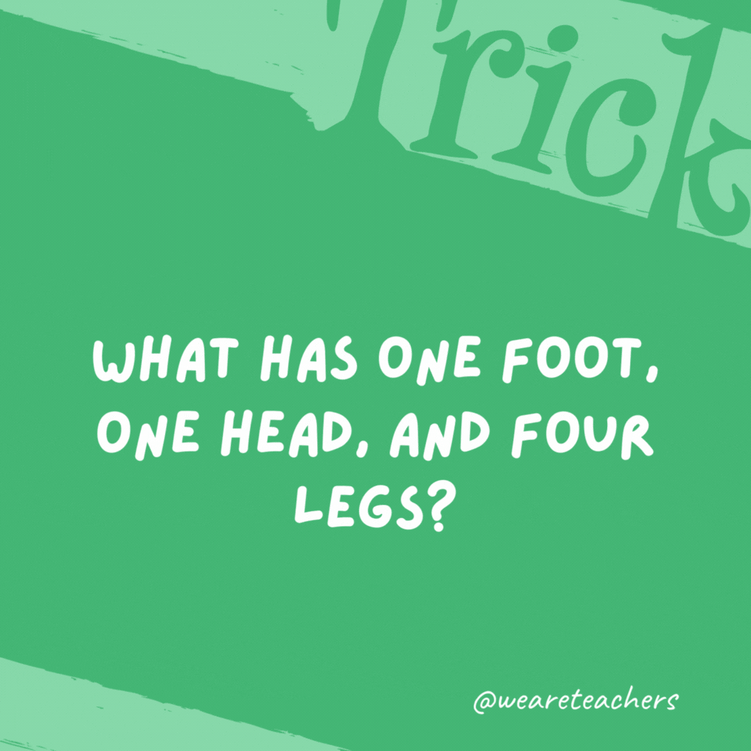 What has one foot, one head, and four legs? A bed. What has one foot, one head, and four legs? A bed.- trick questions