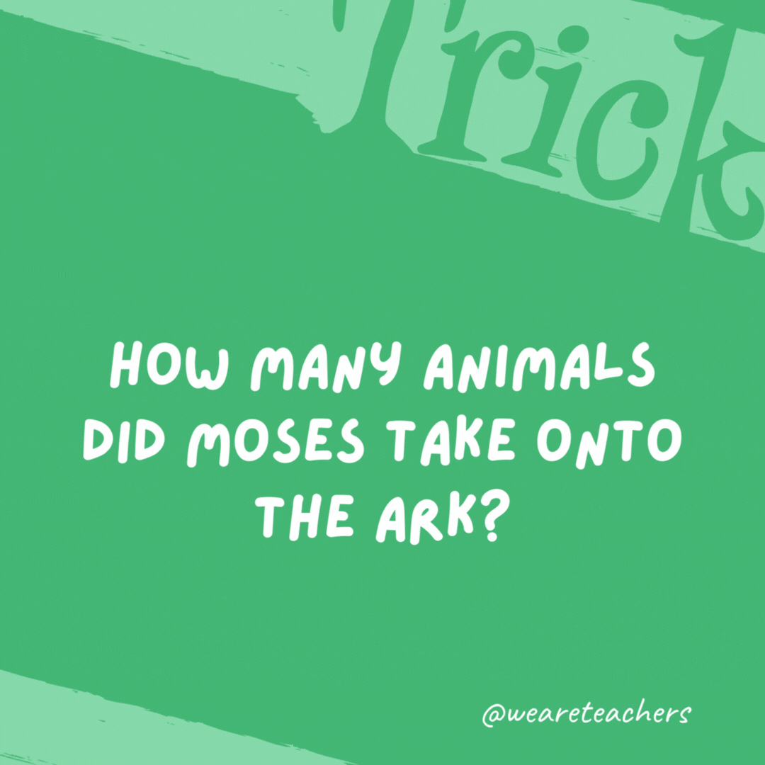 How many animals did Moses take onto the ark? None. It was Noah who built and loaded the ark. How many animals did Moses take onto the ark?
None. It was Noah who built and loaded the ark.