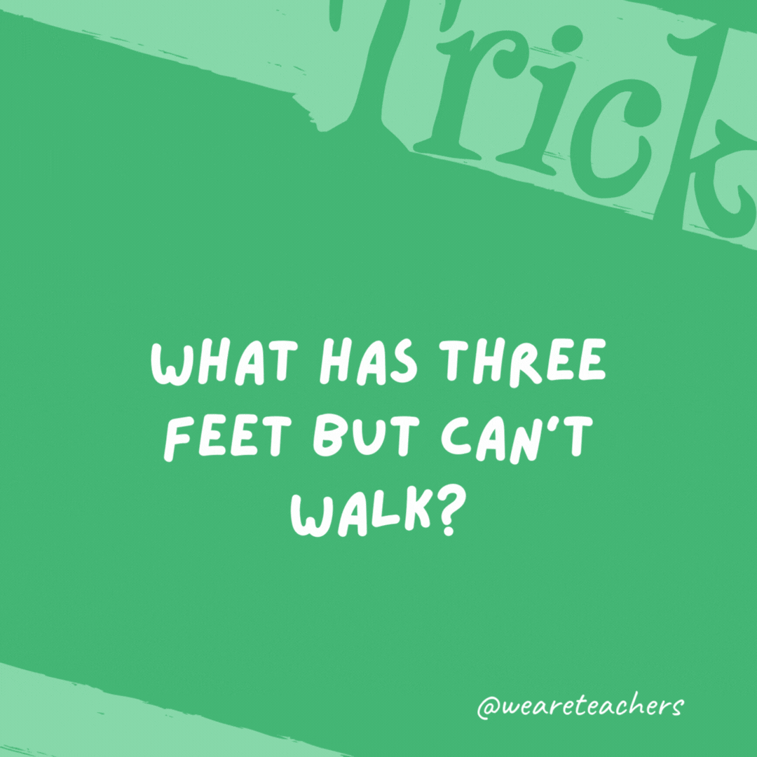 What has three feet but can’t walk? A yardstick. What has three feet but can’t walk?
A yardstick.