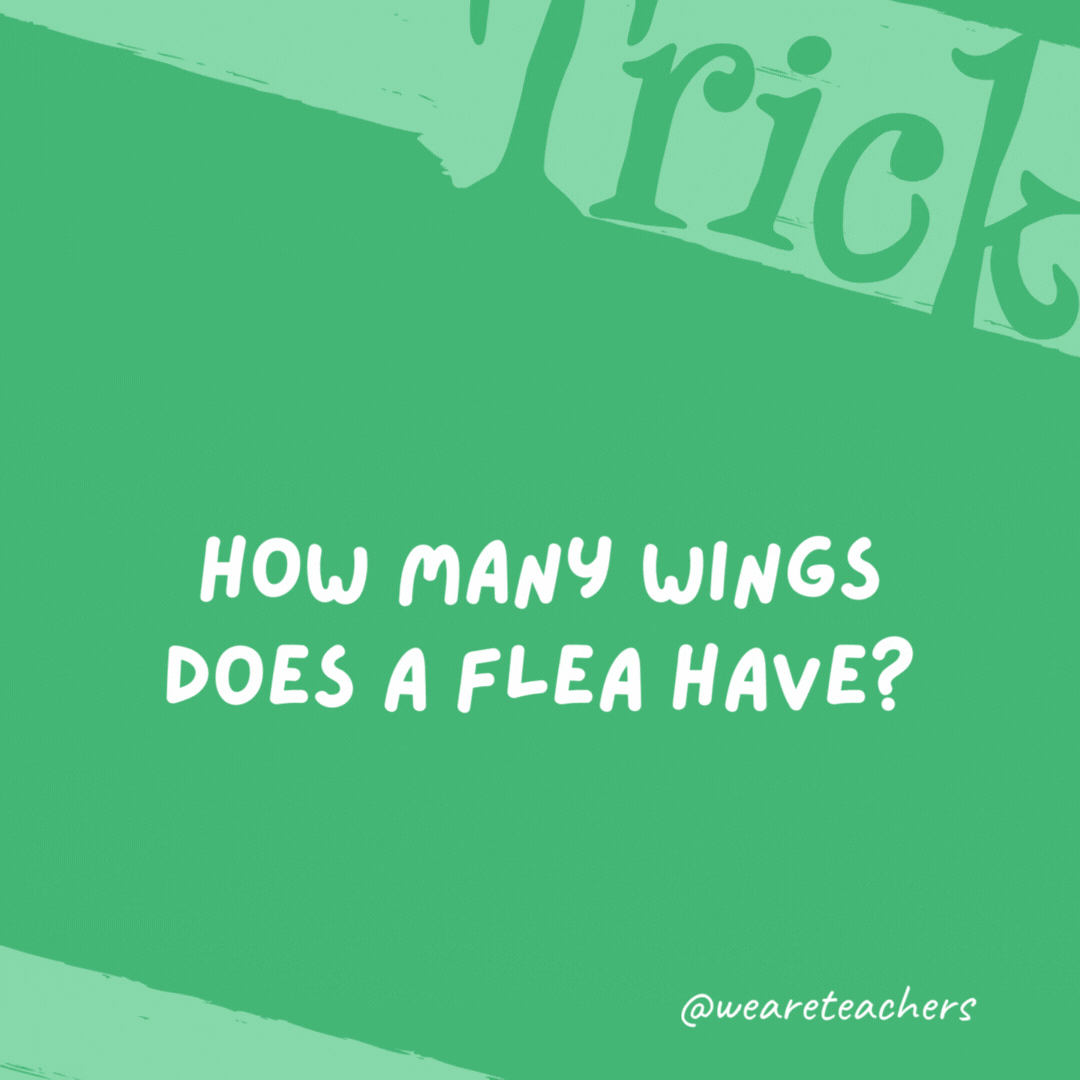 How many wings does a flea have? None. Fleas don’t have wings. How many wings does a flea have?
None. Fleas don't have wings.