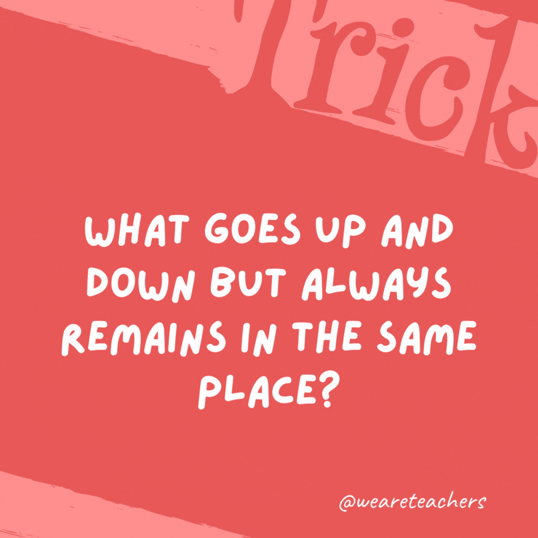 What goes up and down but always remains in the same place? Stairs. What goes up and down but always remains in the same place? Stairs.- trick questions