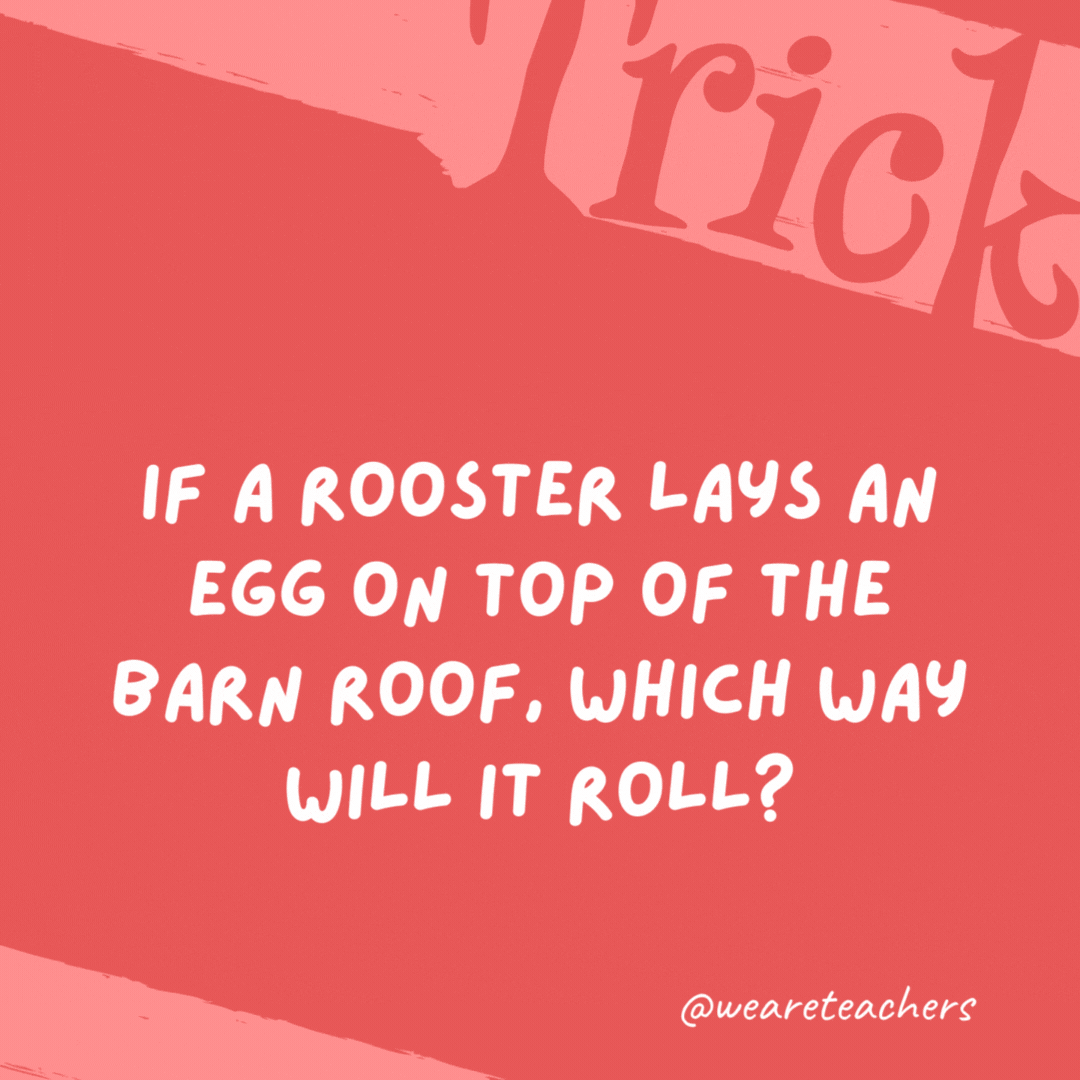 If a rooster lays an egg on top of the barn roof, which way will it roll? Roosters don’t lay eggs. If a rooster lays an egg on top of the barn roof, which way will it roll?
Roosters don’t lay eggs.