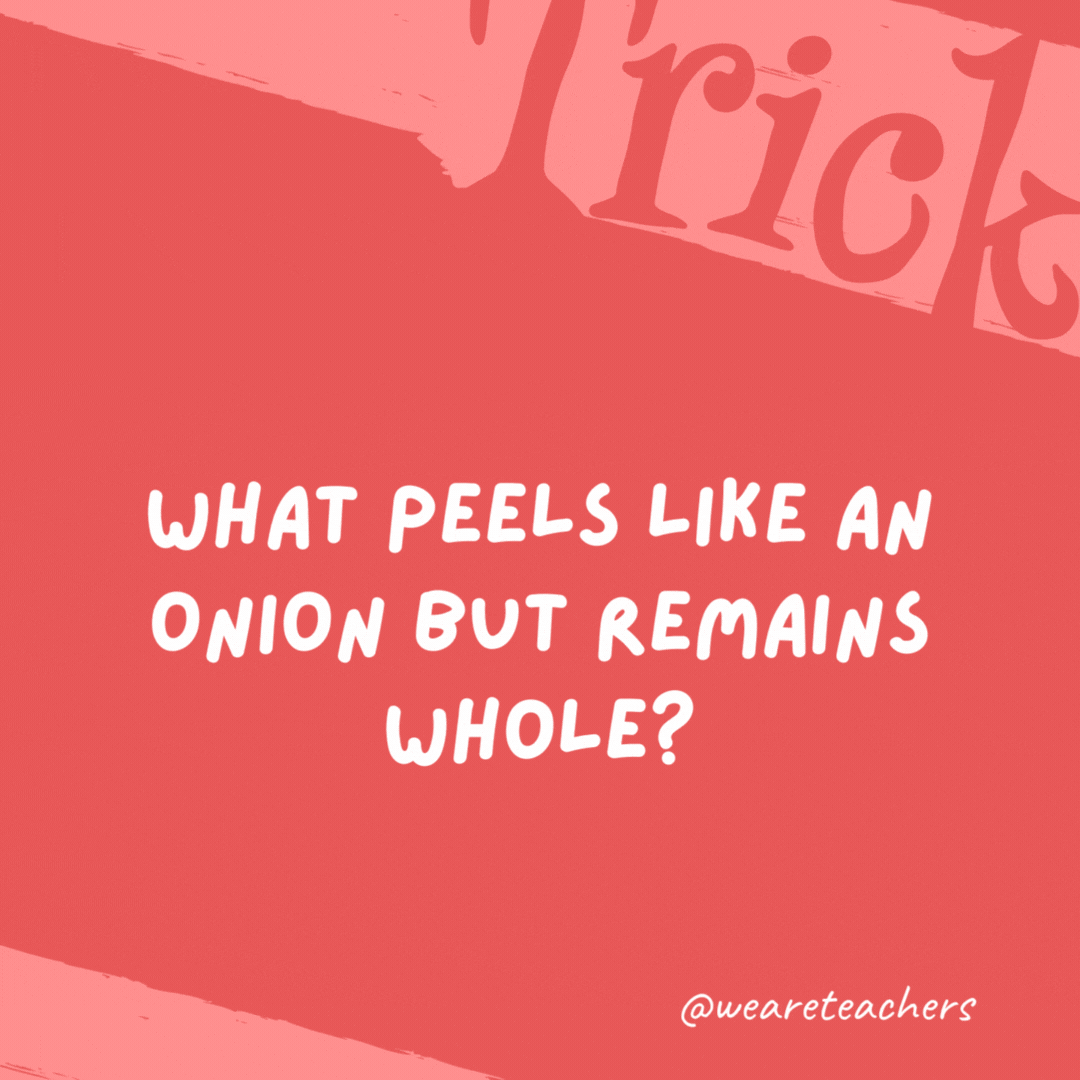 What peels like an onion but remains whole? A snake or lizard. What peels like an onion but remains whole?
A snake or lizard.