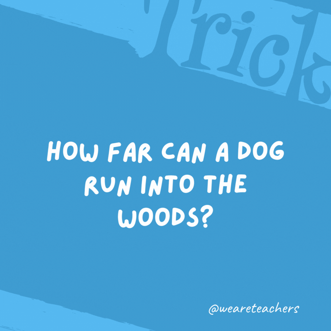 How far can a dog run into the woods? Only halfway. After that, he’s running out of the woods. How far can a dog run into the woods?
Only halfway. After that, he’s running out of the woods.