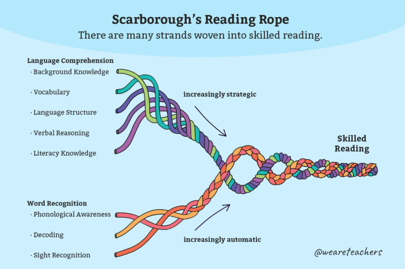 Scarboroughs Reading Rope rgb G1-102 UNI 032422 A model showing Scarborough's Reading Rope, a way to understand the science of reading