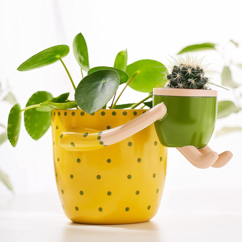 The 29 Small, Inexpensive Things That Teachers Say Paid For Themselves Almost Immediately Cute planter as one of teachers small inexpensive things