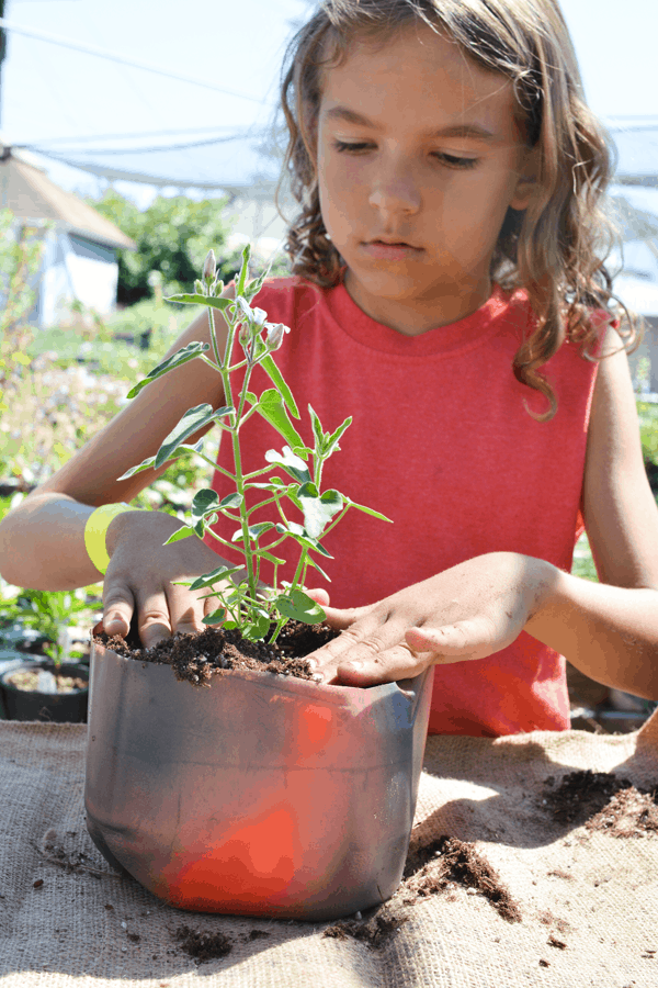 easy-milk-jug-planters young girl in a red shirt planting a plant in a recycled milk jug