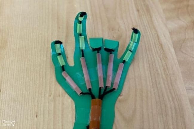 Eighth Grade Science; Model Hand Model robotic hand made from paper, straws, and string