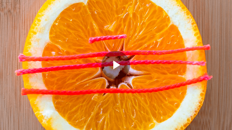 string pi measurement A cross section of an orange with 4 pieces of red yarn stretched across