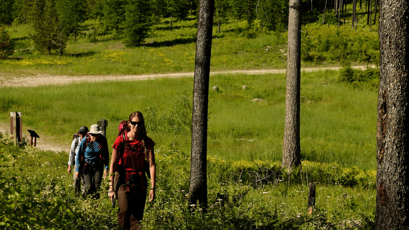 Summer Professional Development for Teachers Two teachers backpacking out on green trails for summer professional development