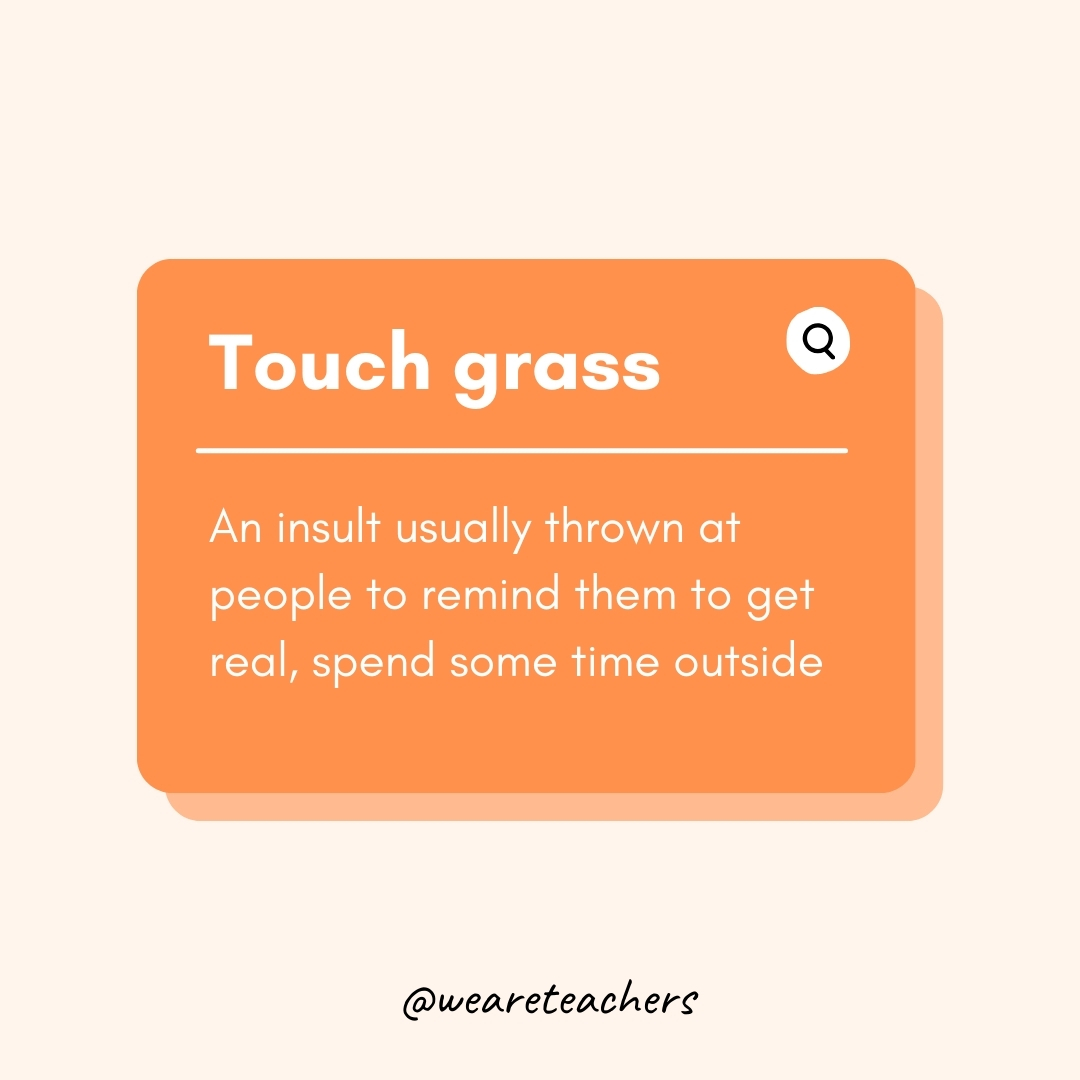 Touch grass An insult usually thrown at people to remind them to get real, spend some time outside Touch grass
An insult usually thrown at people to remind them to get real, spend some time outside- Teen Slang
