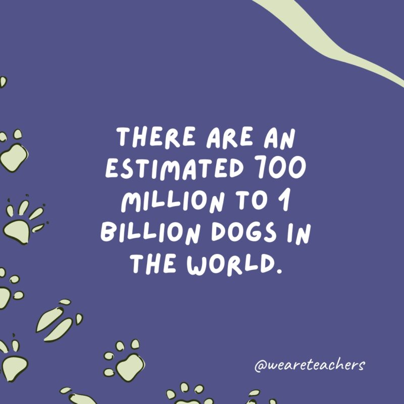 There are an estimated 700 million to 1 billion dogs in the world. 