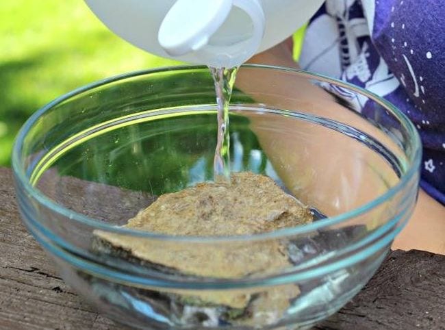 Limestone Rock Experiment Child pouring vinegar over a large rock in a bowl