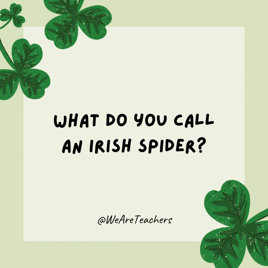What do you call an Irish spider? Paddy longlegs. What do you call an Irish spider?
Paddy longlegs.- St. Patrick's Day jokes