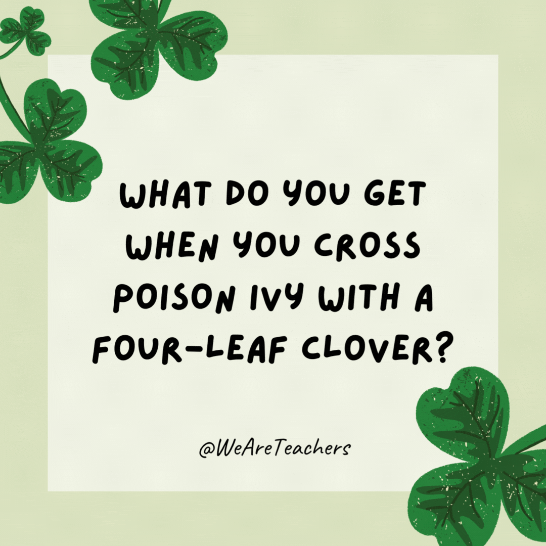 What do you get when you cross poison ivy with a four-leaf clover? A rash of good luck. What do you get when you cross poison ivy with a four-leaf clover?
A rash of good luck.