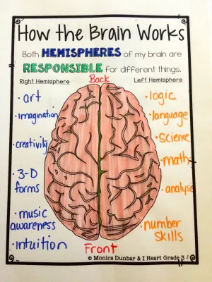 how-the-brain-works-2 chart about the brain and what each part does for neurodiversity awareness activity