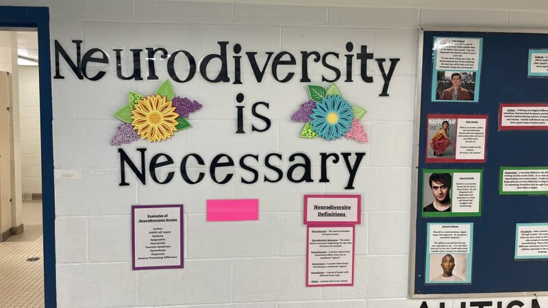 neurodiversity-is-necessity neurodiversity is necessity display for neurodiversity awareness
