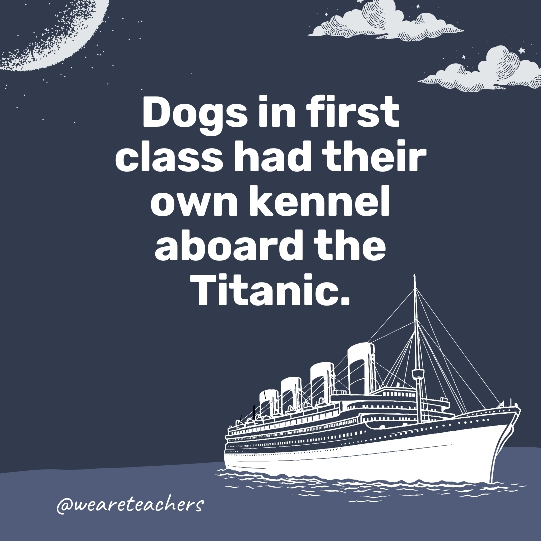 Dogs in first class had their own kennel aboard the Titanic. Dogs in first class had their own kennel aboard the Titanic.