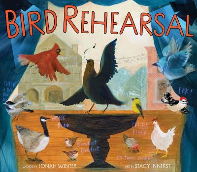 Bird Rehearsal book Bird Rehearsal book cover