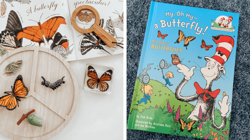 Butterfly-Books User-generated content of butterfly books