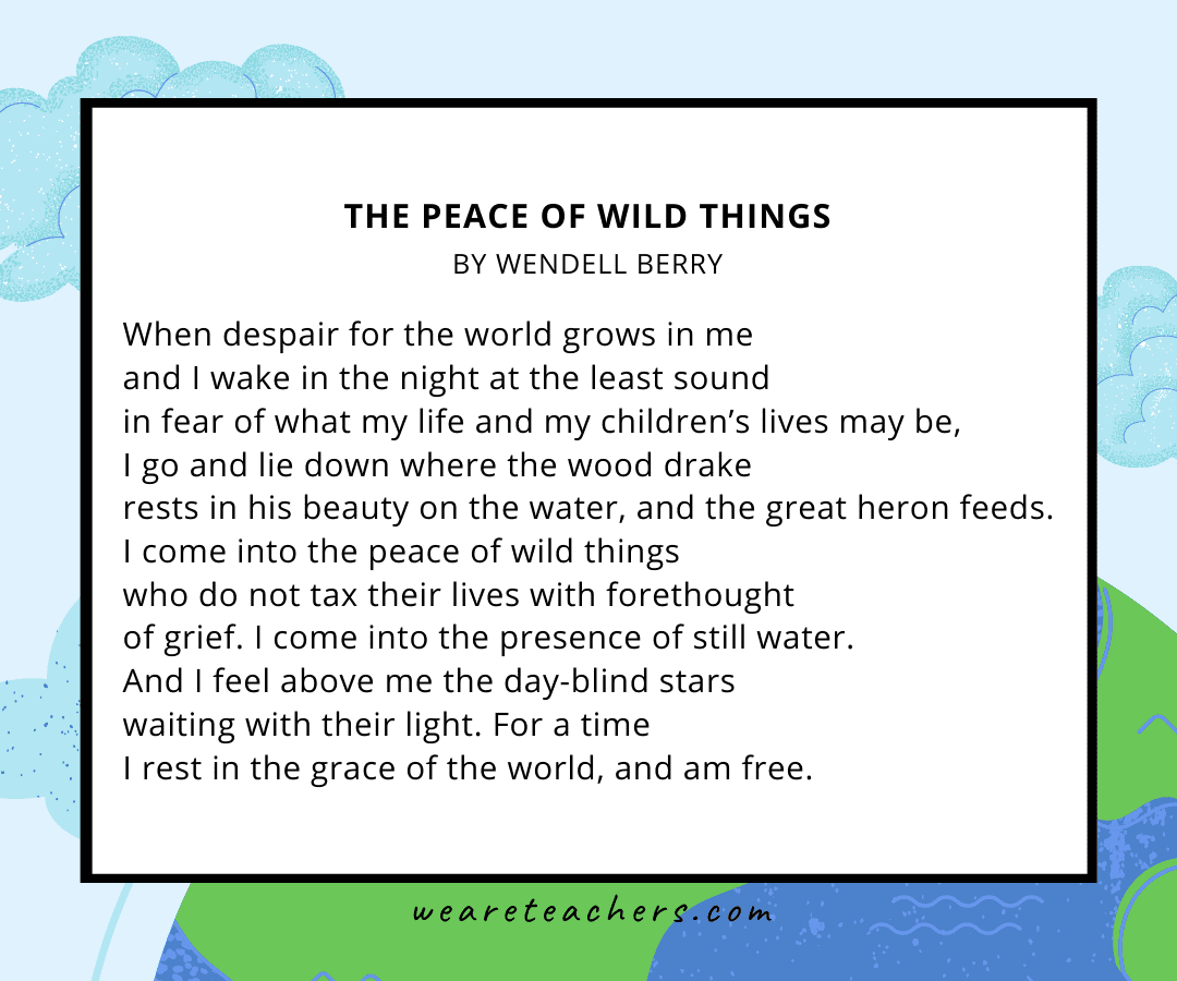 42 Beautiful Earth Day Poems for Kids of All Ages The Peace of Wild Things by Wendell Berry.