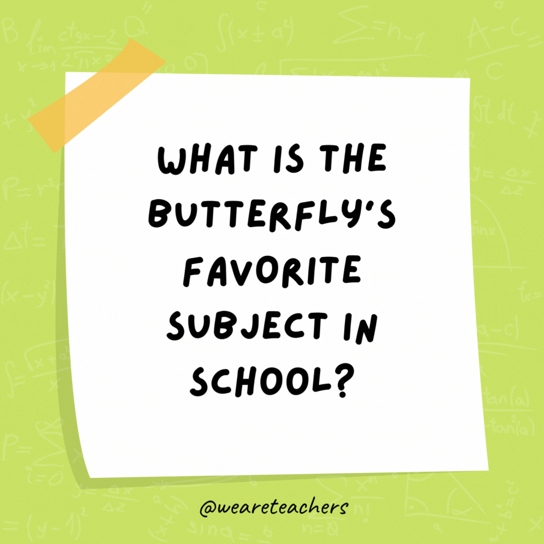 What is the butterfly’s favorite subject in school? Mothematics. What is the butterfly’s favorite subject in school? Mothematics.