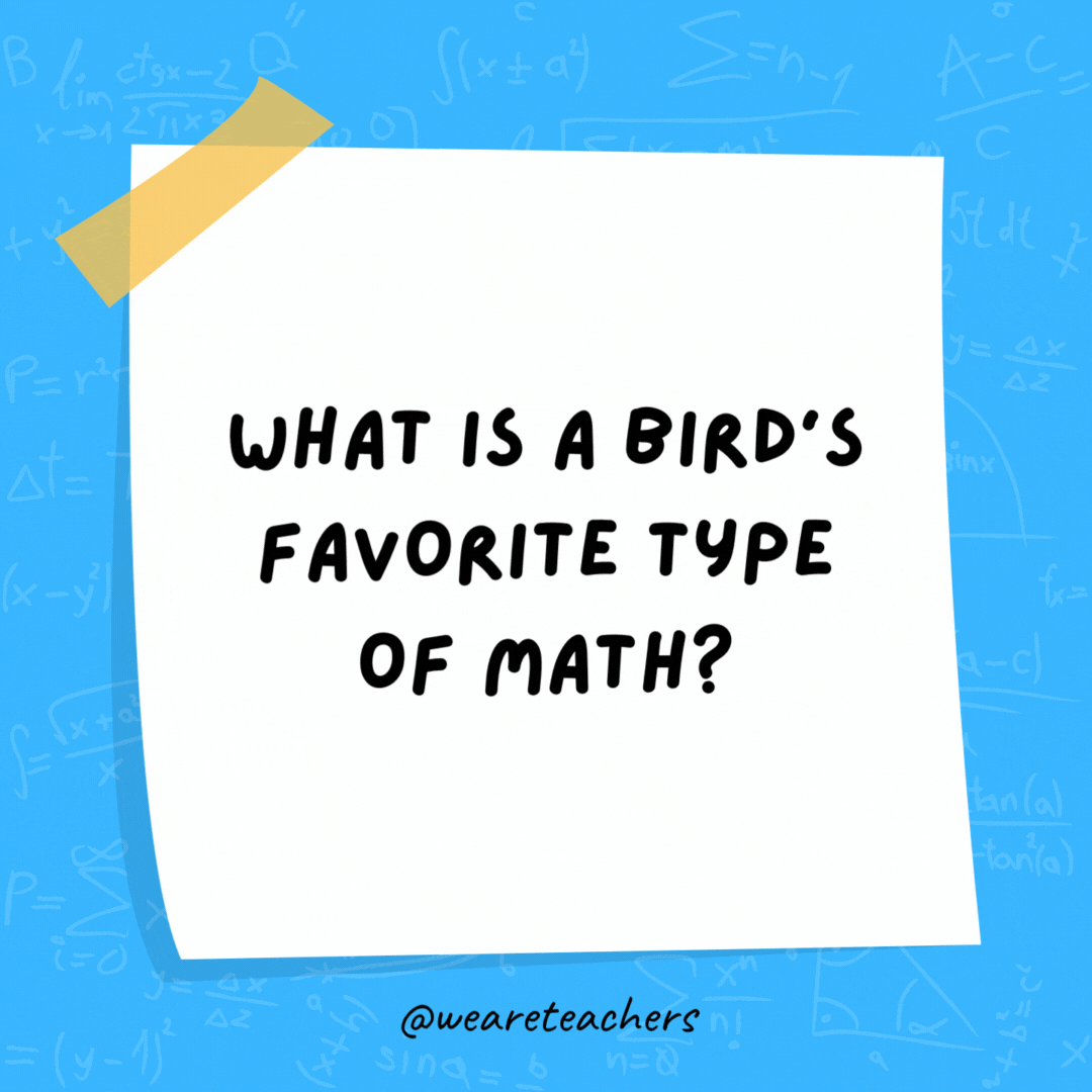 What is a bird’s favorite type of math? Owl-gebra. What is a bird’s favorite type of math? Owl-gebra. - math jokes