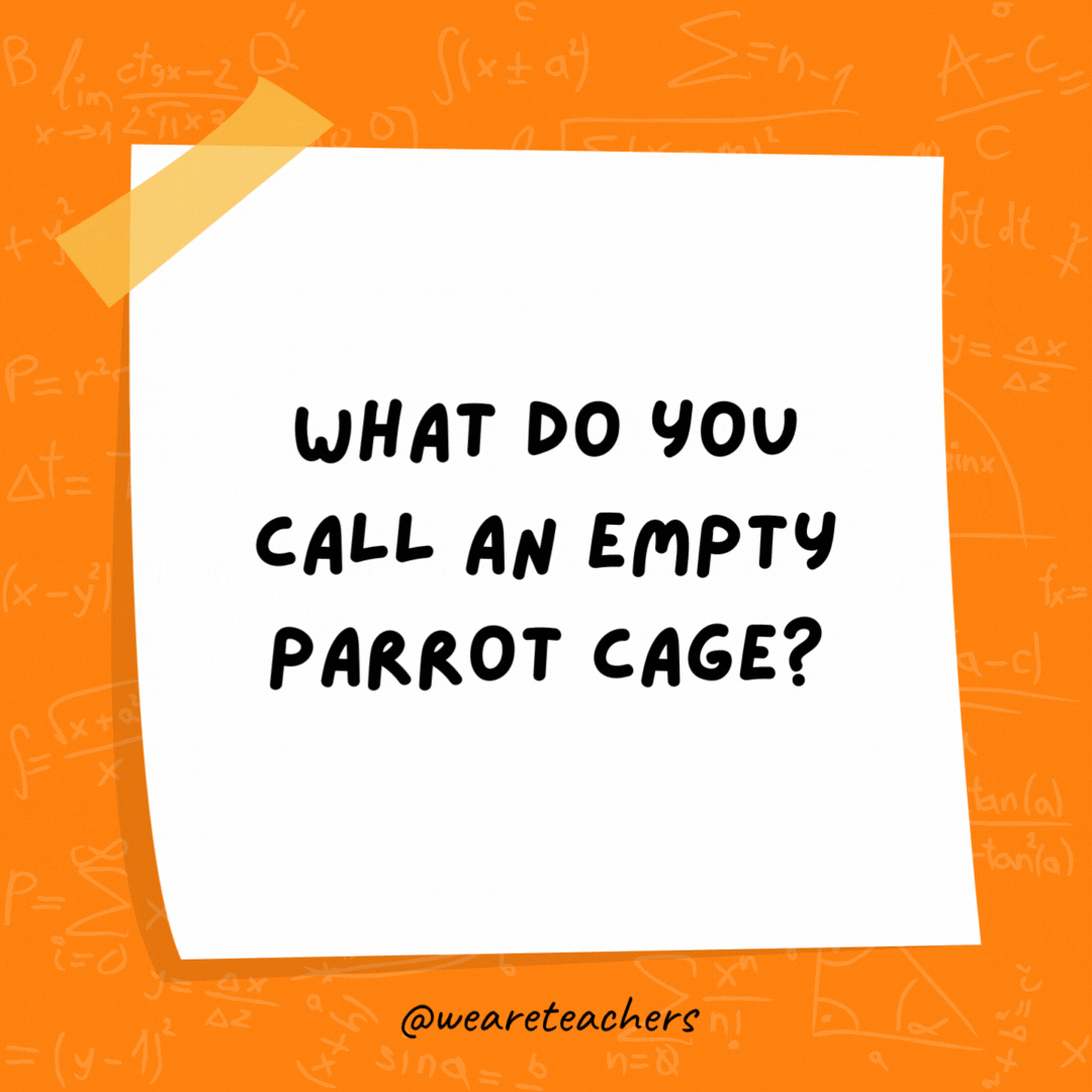 What do you call an empty parrot cage? A polygon. (A Polly gone.) What do you call an empty parrot cage? A polygon. (A Polly gone.)