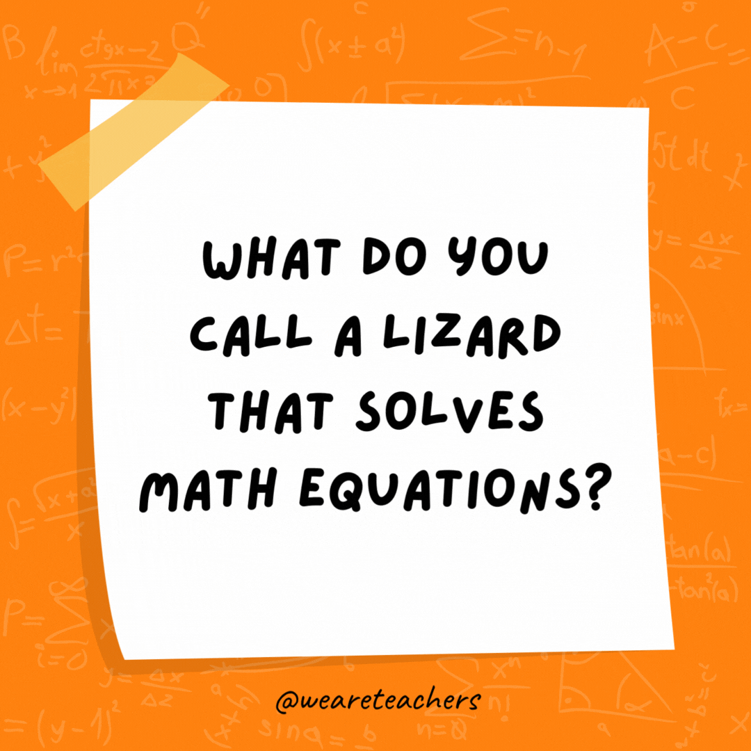 What do you call a lizard that solves math equations? An adder. What do you call a lizard that solves math equations?
An adder.