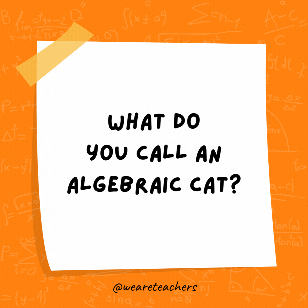 What do you call an algebraic cat? A quadra-cat. What do you call an algebraic cat?
A quadra-cat.
